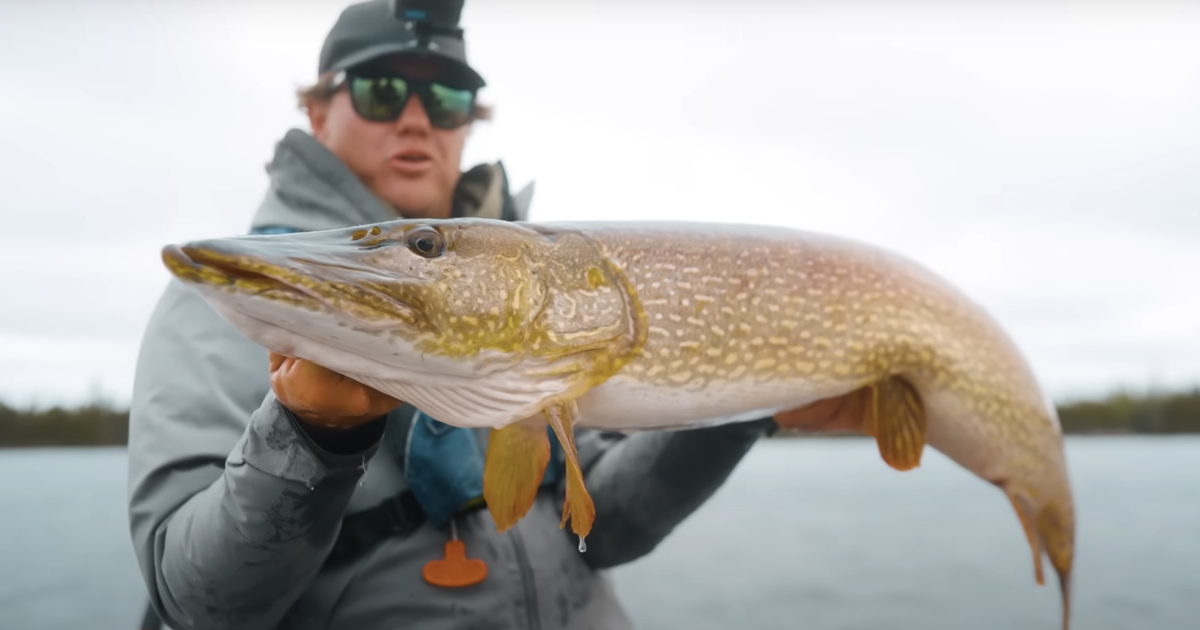 Munroe Lake Lodge: Pike Paradise - Jay Siemens Film | Hunt Fish