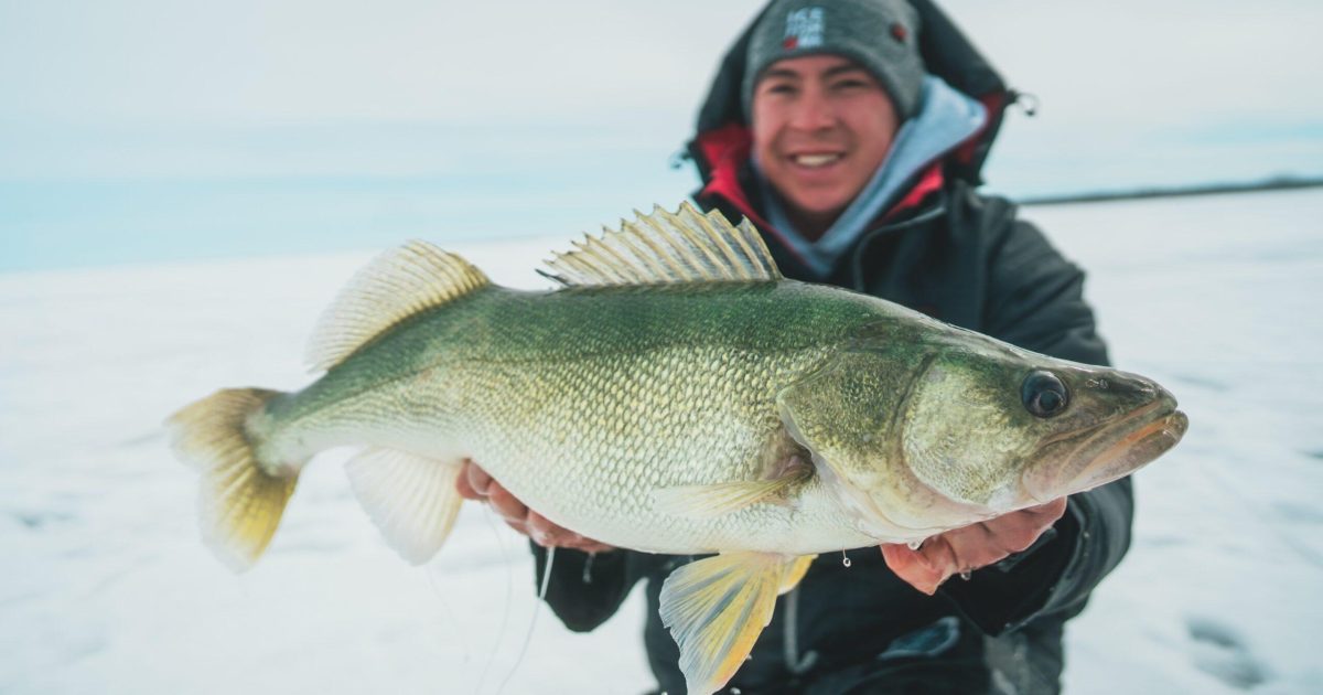 Greenback Walleye Frenzy - Lake Winnipeg Ice Fishing 101 | Hunt