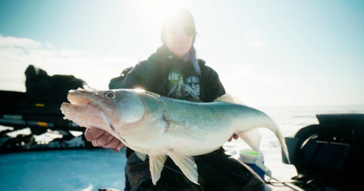 Lake Winnipeg Ice Fishing Gift Guide Essential Gear For Greenback