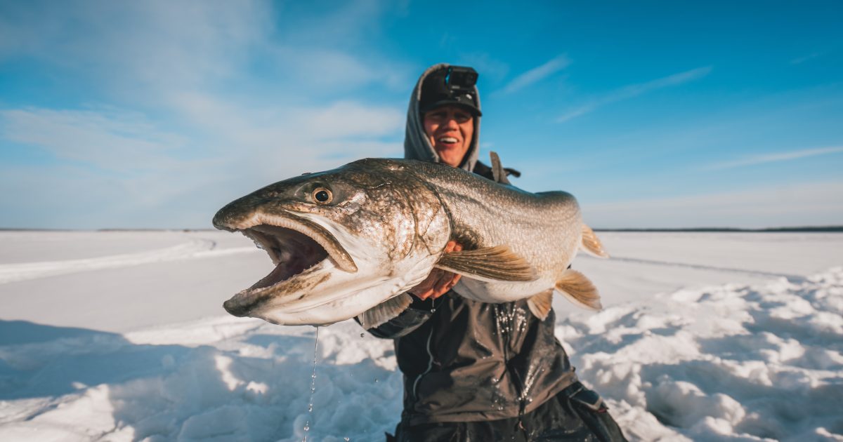 Learn From the Pros, Top Master Angler Species to Target This Winter ...