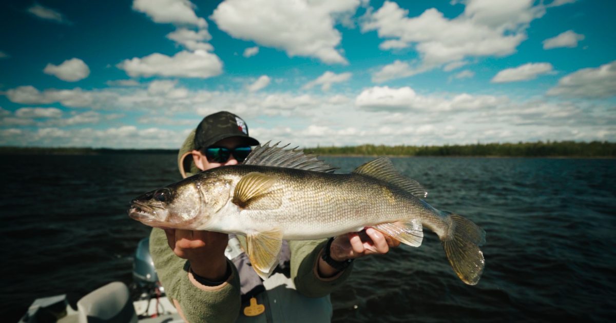 The feeder, a fun and alternative technique to the fishing with the blow